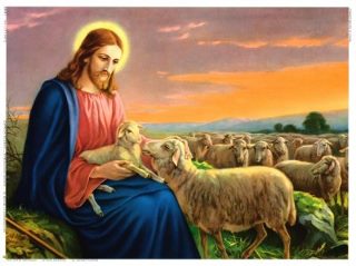 La Bella Notizia di Gesù secondo Giovanni (10,17-30) | Collaborazione  Pastorale Zerotina